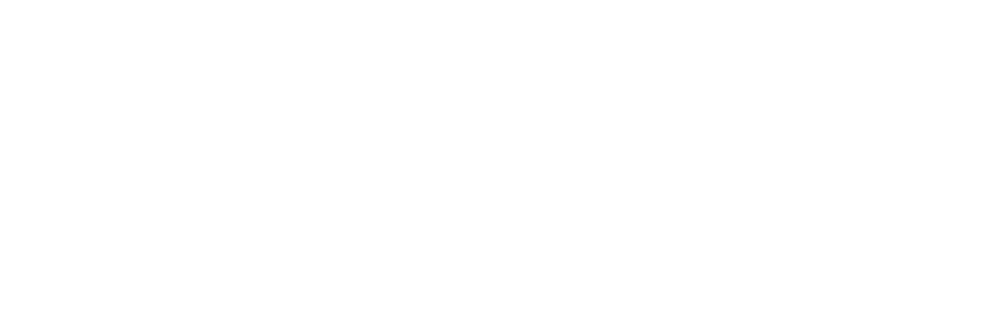 Chargeback Gurrus