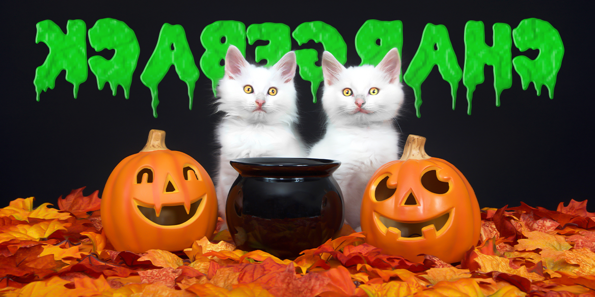 Blog Image - Chargebacks Halloween II