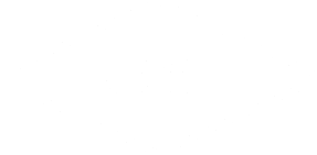 Fossil
