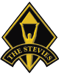 Stevie award