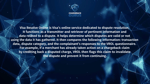 What is Visa Resolve Online