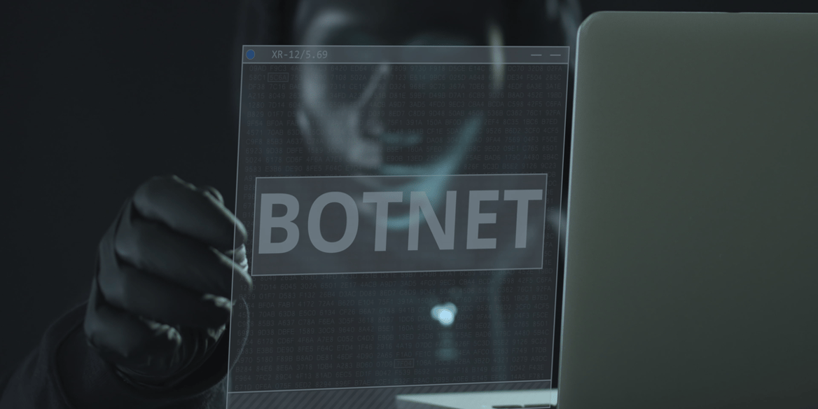 botnet fraud