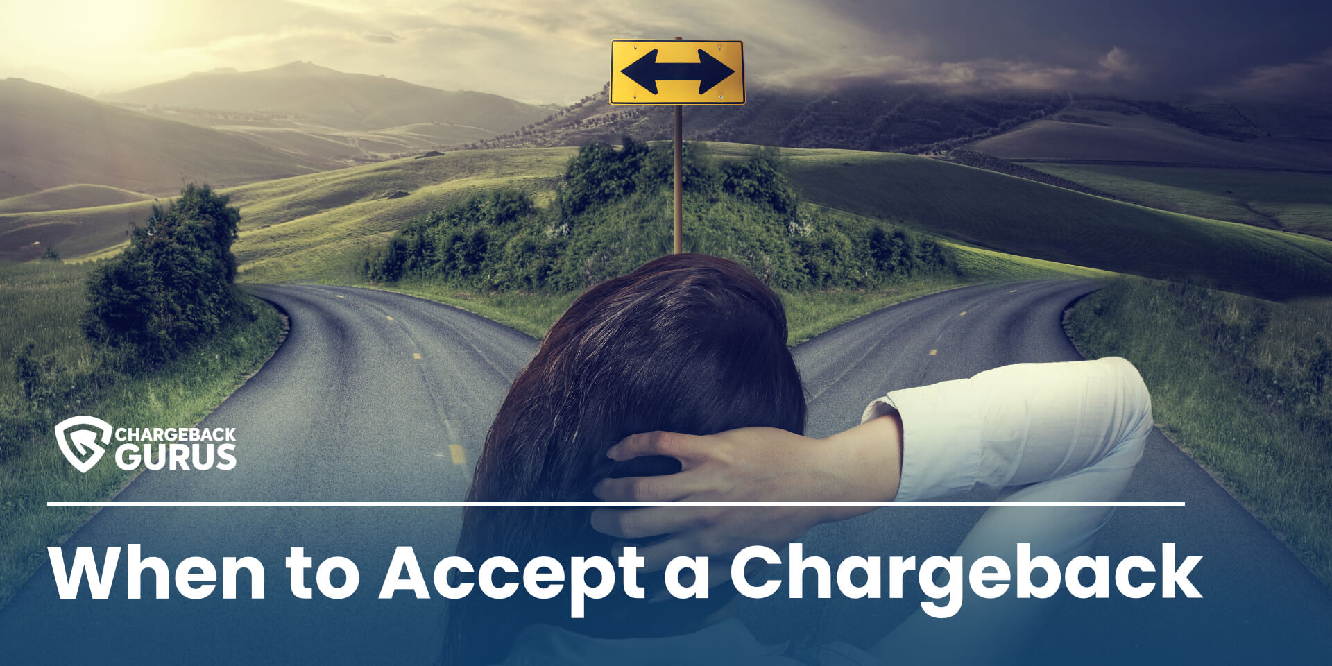 fight or accept chargeback