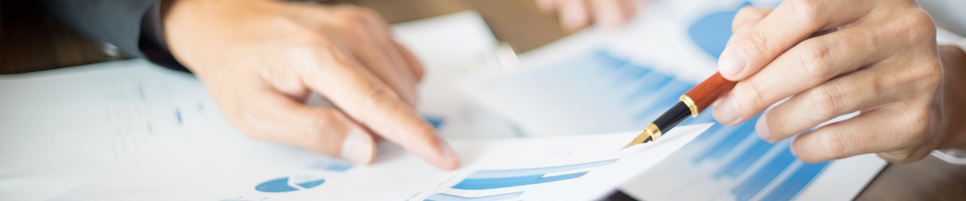 Chargeback Services